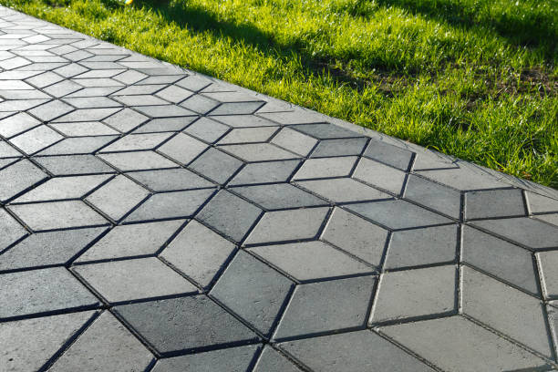 Best Professional Driveway Pavers  in Pahokee, FL